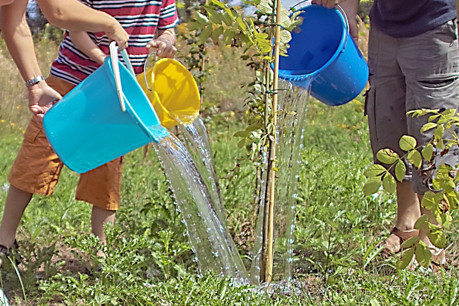 Gartenwasserzähler.