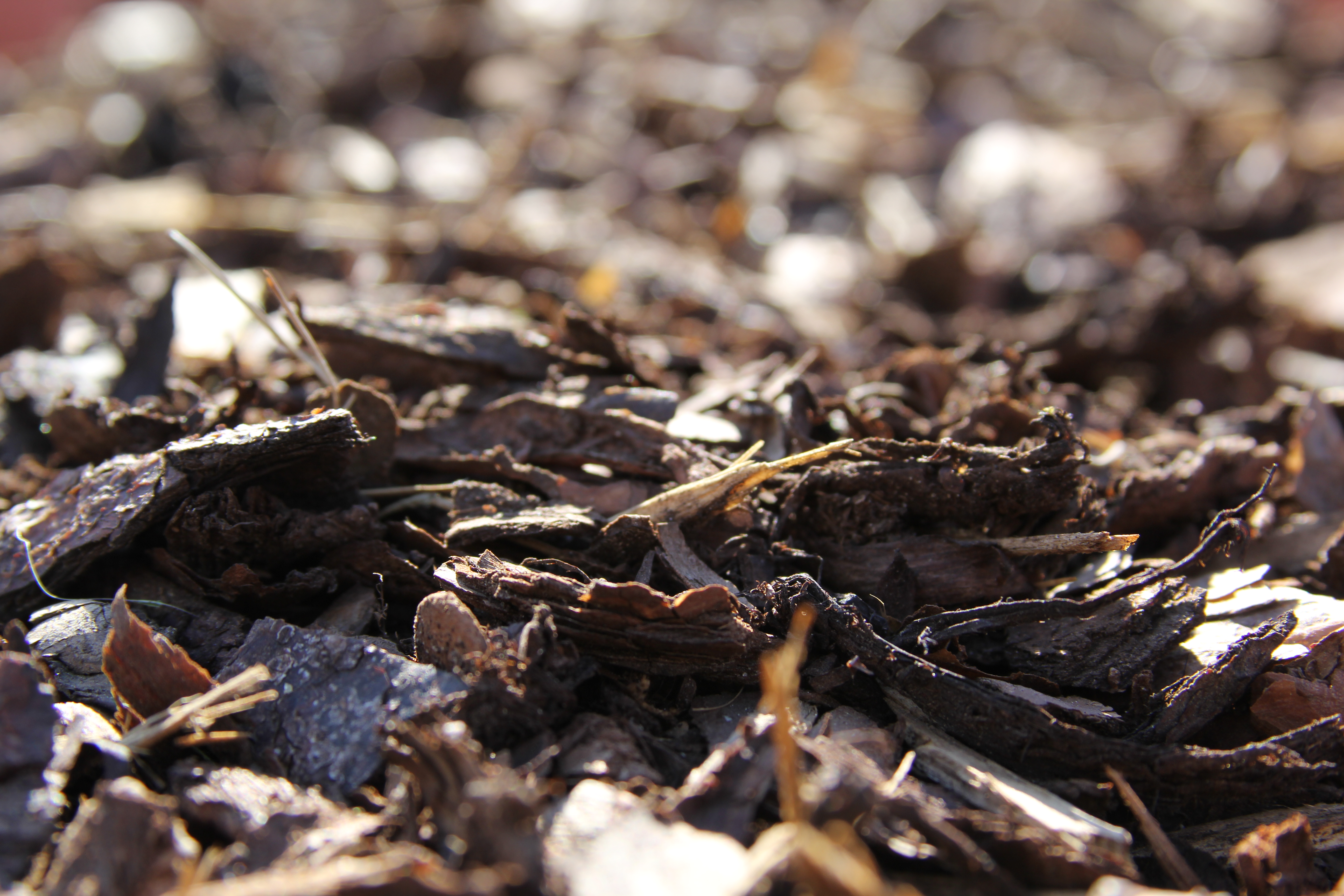 Rindenmulch