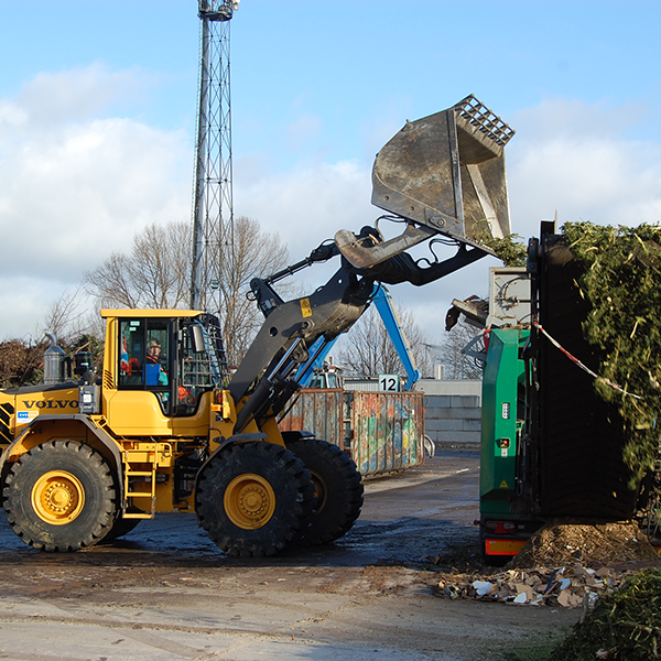 Bagger lädt Grünschnitt ab.